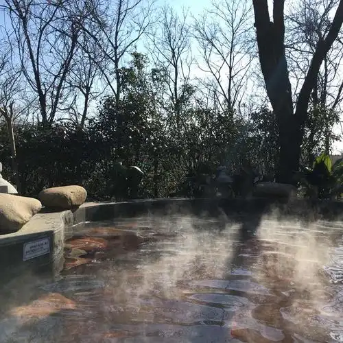 南京汤山紫清湖温泉度假区   旺季平日票 - 成人票【2016年1月1日至3