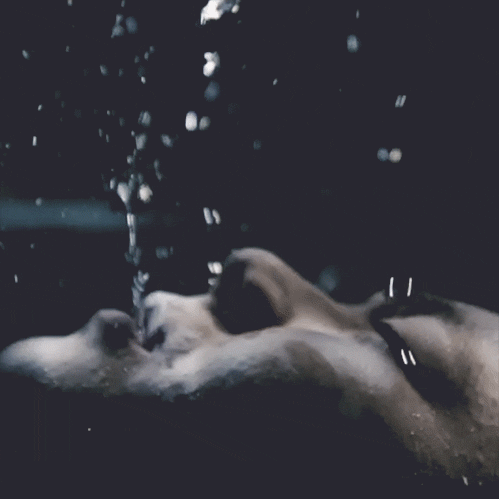 水中gif沉入海底gif窒息gif