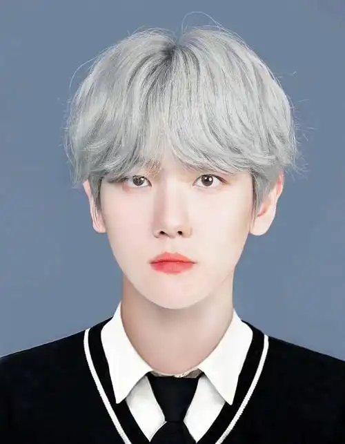 边伯贤证件照大全