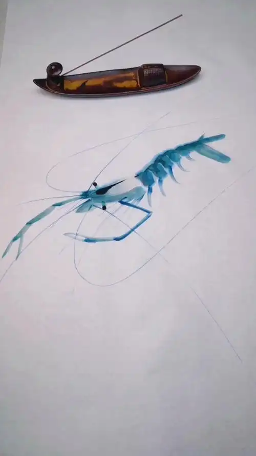 虾的画法步骤