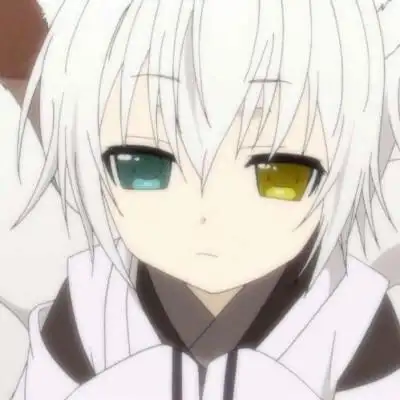 妖狐×仆ss·御狐神双炽