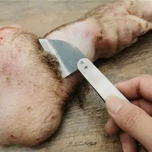 【猪毛刀拔毛器图片】猪毛刀拔毛器图片大全_q友网