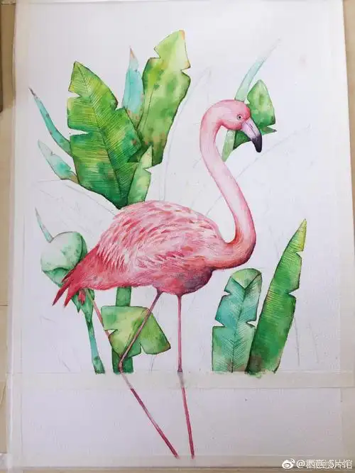 火烈鸟装饰画~颜料:梵高纸张:宝虹中粗笔:秀意,若隐,黑天鹅| 绘画