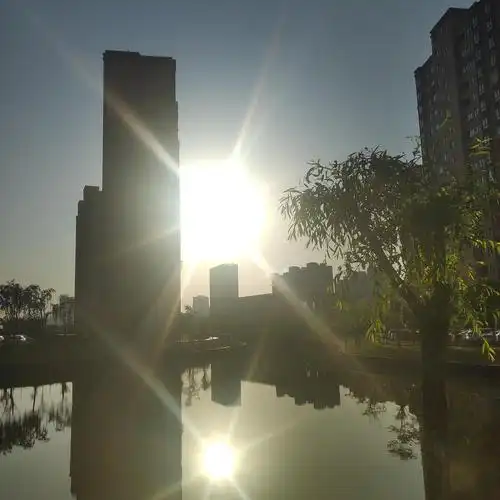 早上出门的太阳