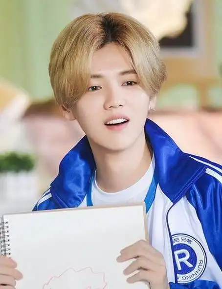 鹿晗粉丝后援颜色是什么,鹿晗应援色