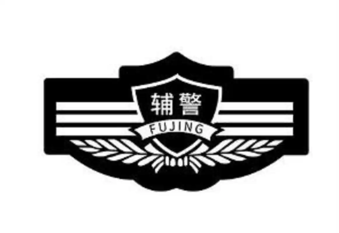 警务辅助人员工作心得:让警徽因我们的存在增辉添彩