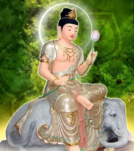 属蛇的本命佛普贤菩萨详解