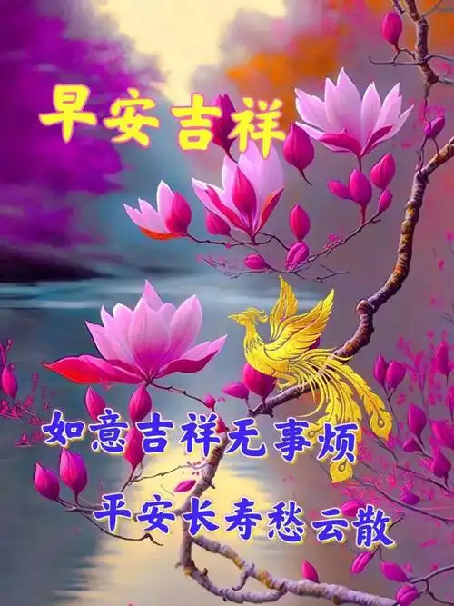 早安问候表情包～平安相随,健康永伴|清晨|晨曦|快乐_网易订阅