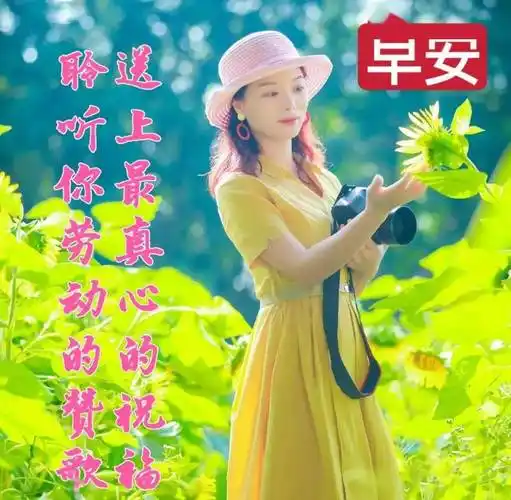 今日最新中老年早上好表情包大全,祝福问候,平安喜乐