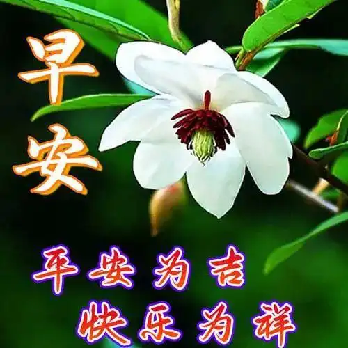 早安图片早安祝福暖心图片带字问候语温馨早上好问候语简短祝福语