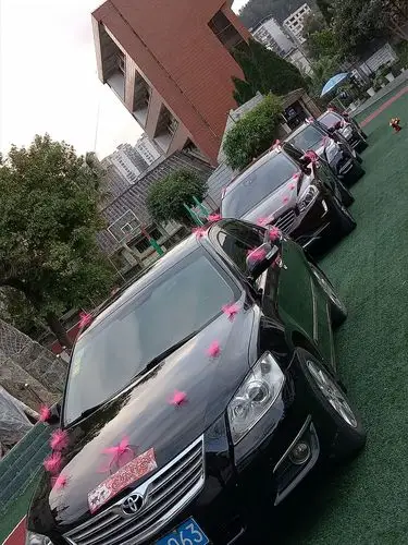 慧心花艺婚车欣赏13459980862