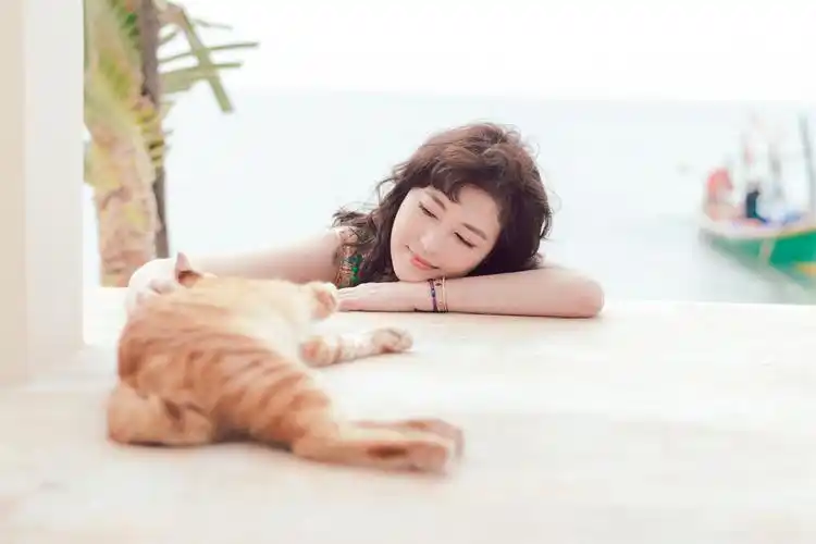 周海媚海边"萌"系写真 与猫咪静享闲暇时光
