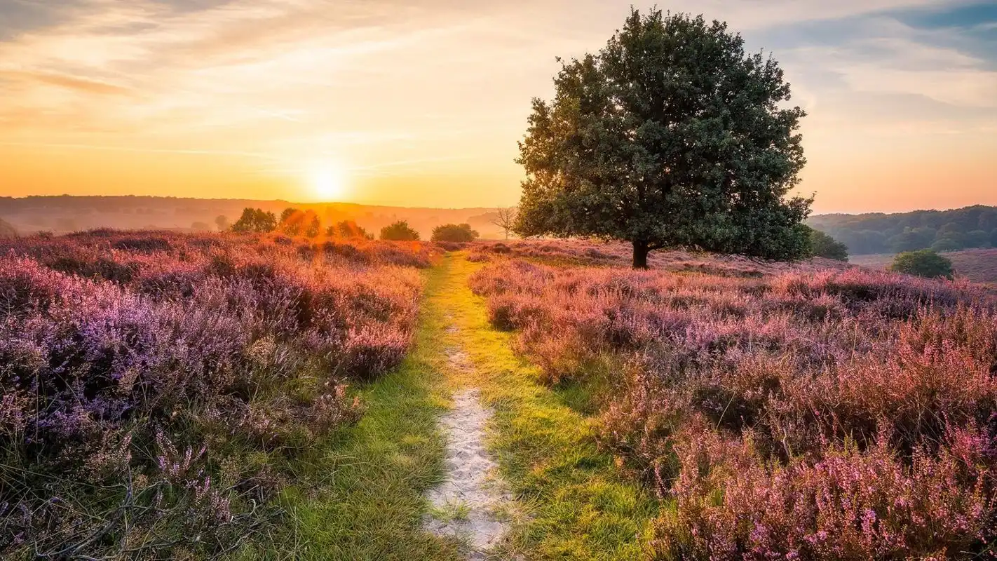 自然清新唯美的景观图片桌面壁纸