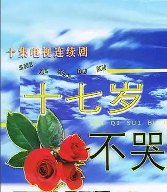 电视剧推荐校园青春姐弟恋 校园剧十七岁不哭(1)