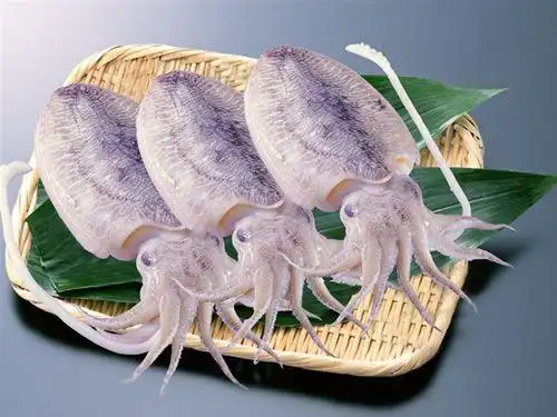 墨鱼【批发价格,厂家,图片,采购】_浙江香海食品股份有限公司-瑞网