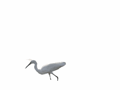 博客制作原创作品风景美图ps教程美女帅哥喜庆素材生日素材有声朗读