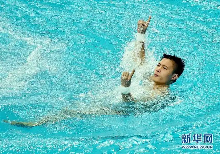下一张 20170828-天津全运会跳水男子十米台决赛陈艾森夺冠