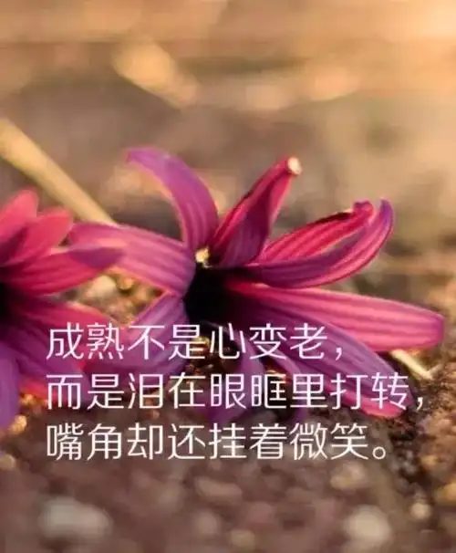 激励自己的图片最新朋友圈励志图片带字