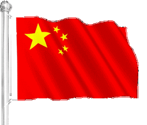 看!队旗高高飘扬