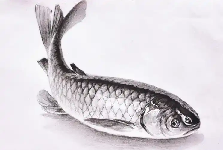 非常简单,这些作品都是零基础同学跟着老师一起画的,还有第一次画素描