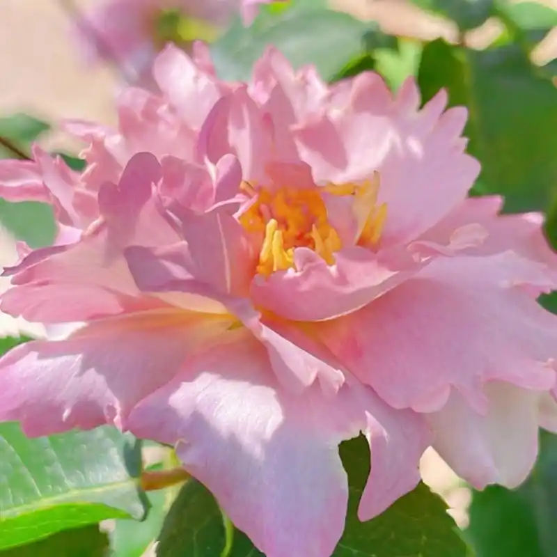 老年人头像 家人们05  今天给大家分享一些适合老年人的头像91!