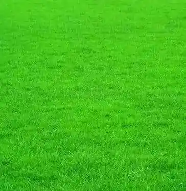 但是90%的人都不知道-保护眼睛设置