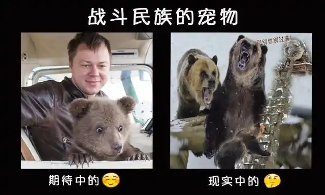 很多人的心都会自动切换到柔软模式,什么大西几,小凶许,小脑斧,梅发怒