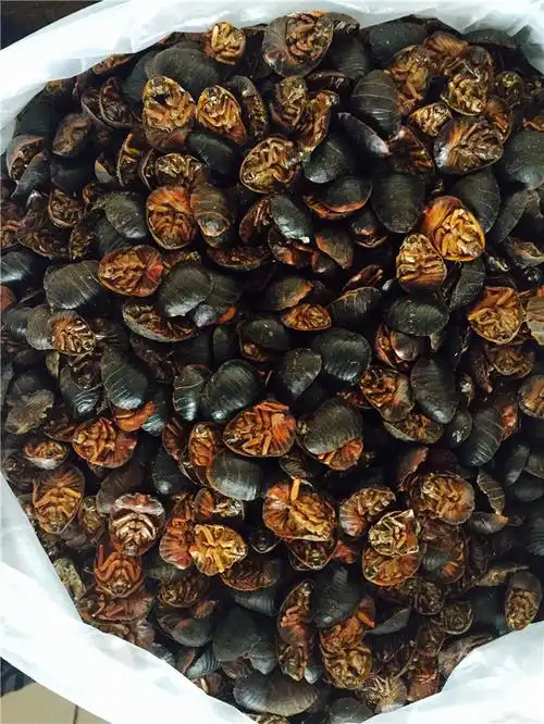 土元 统货 江苏,江苏土鳖虫30.00元/千克 统货 – 数字本草