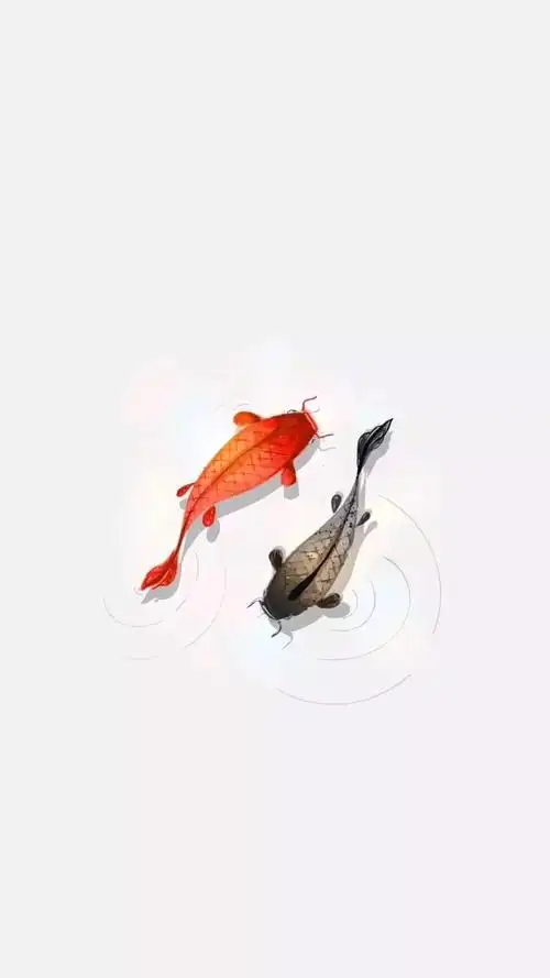 壁纸| 锦鲤锁屏壁纸