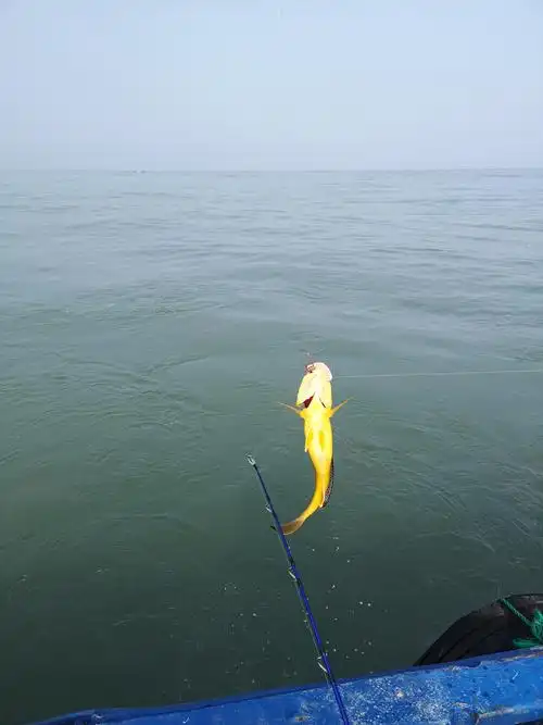 女岛钓鱼乐趣 - 美篇