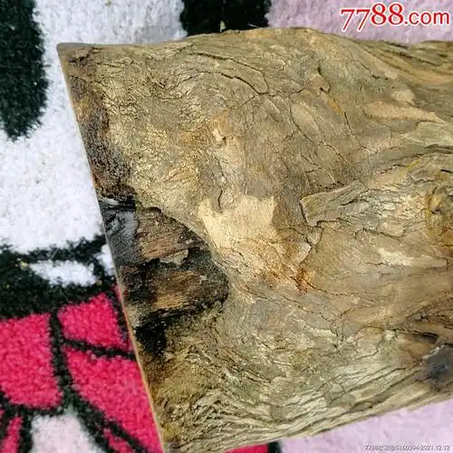 柘木木料观赏收藏木文玩雕刻木料手工小料实木木料天然木纹像如意