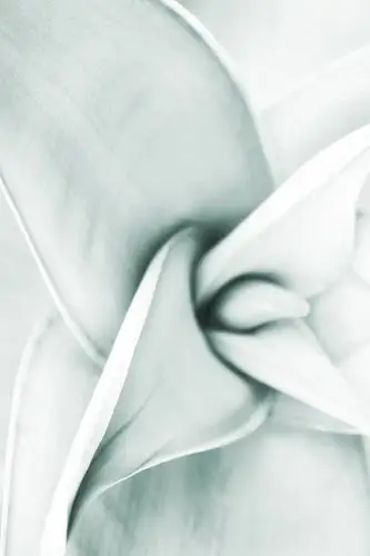 简约素雅ppt背景图片