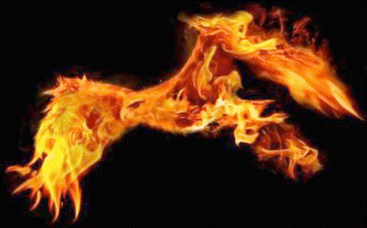 火焰燃烧小鸟闪动gif动图_动态图_表情包下载_soogif
