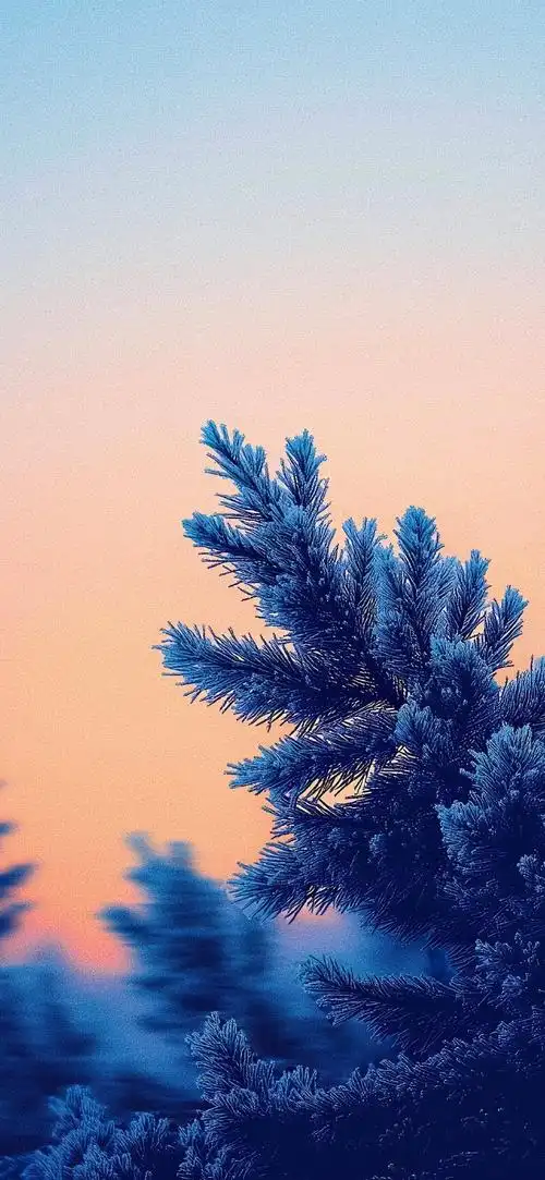 690_1495竖版 竖屏gif 动态图 动图