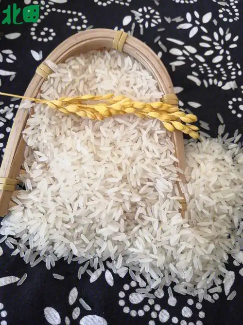 巴马稻尊瑶乡农家油粘香米