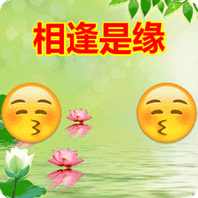 靠谱的年轻人都值得将我拥有