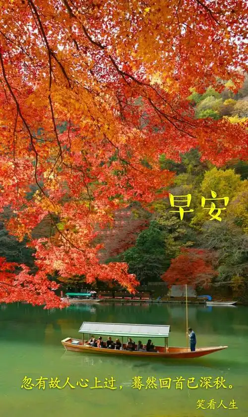 精美早安图集(六) - 美篇