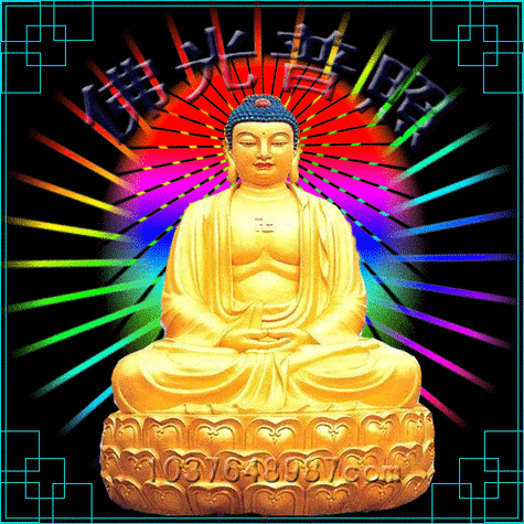 佛动态电脑壁纸大全图片大全下载