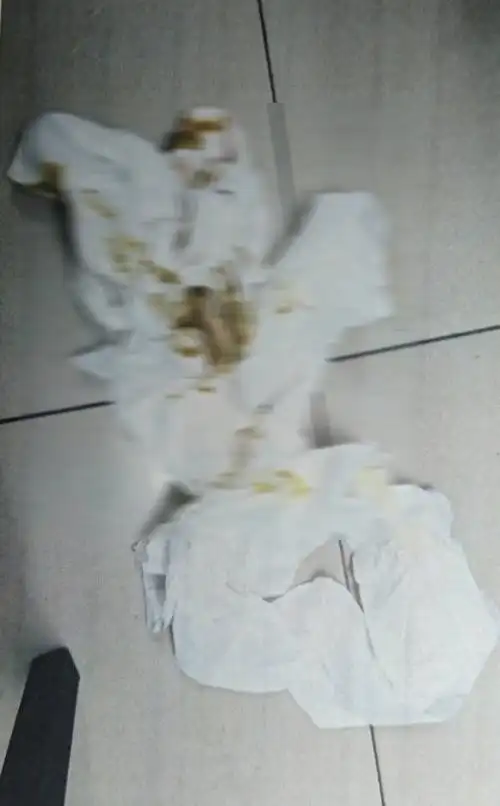 台北老人借厕所不成拉裤子上竟自制屎球砸人报复