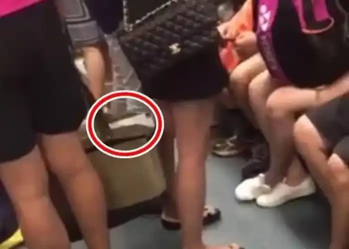 偷拍女同学裙底发网上已经涉嫌违法了,大学岂能批评教育了事?