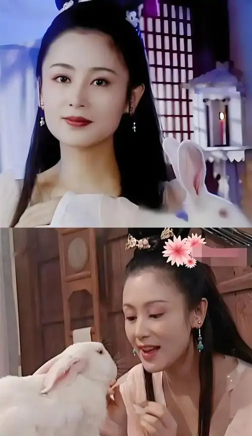 陈红绝世佳人七个古装角色你觉得哪一个最美