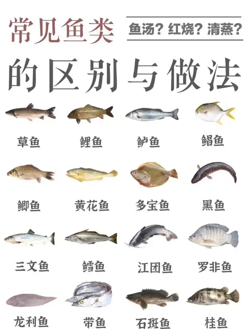 鱼 #美食 - 抖音