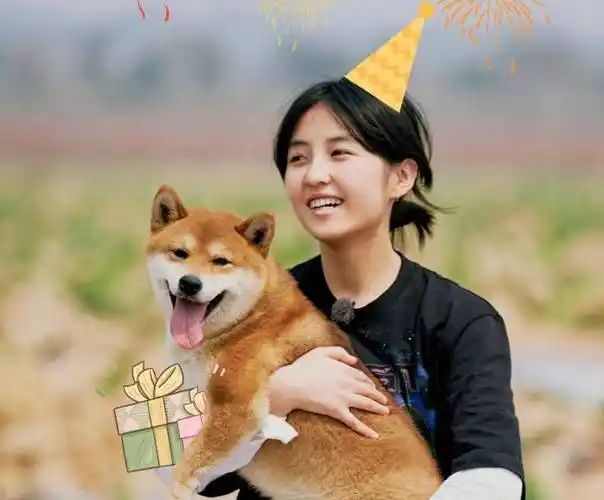 期待向往的生活的回归众所周知,张子枫是大家在刘宪华宣布退出向往的