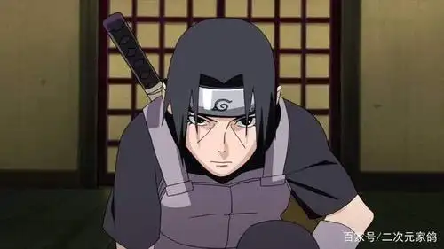 诛族人,做叛忍,为何宇智波鼬要选择这样的人生?因为这四句话