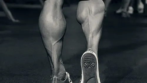 第010期:认识你的肌肉之下肢肌:小腿肌