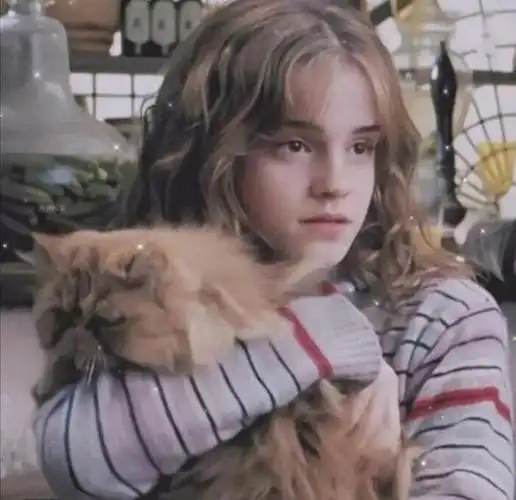 赫敏头像第二弹