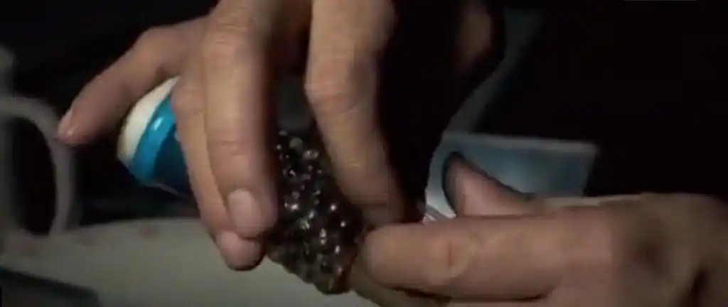 做入珠和私处穿孔的男人,你大爷果然是你大爷