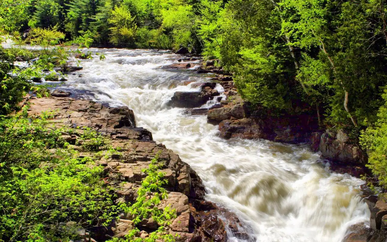 风景壁纸,唯美,护眼,风景,高清,清新,自然,森林,岩石,静谧,溪水,壁纸