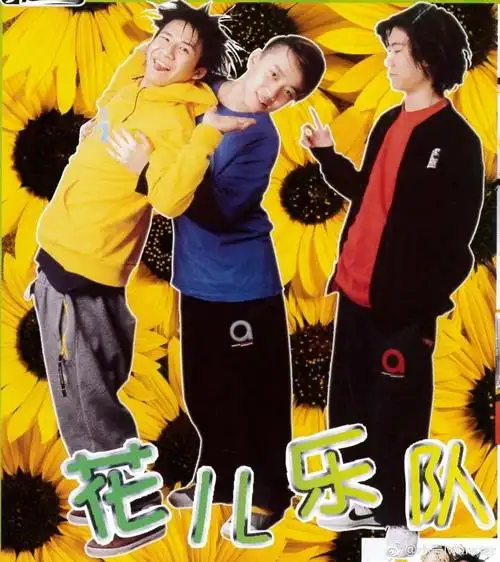 花儿乐队 - dm48-斑斑球球大张伟