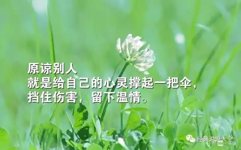 总是这样,一瞬间想通了,释然